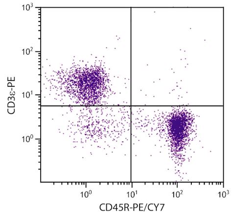 CD45R Monoclonal Antibody (RA3-6B2), PE-Cyanine7 (A15398)