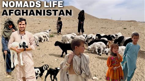 Nomadic Lifestyle Of Afghanistan Vlog Qawi Khan Youtube