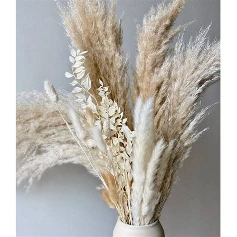 Capim Dos Pampas Arranjo Pinterest 5 Unidades Shopee Brasil