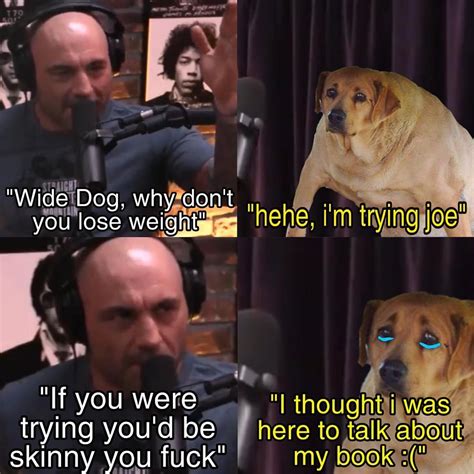 Wide Dog at Joe Rogan | Wide Dog | Know Your Meme