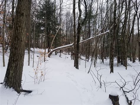 The Albany Hiker: Winter at Grafton Lakes State Park