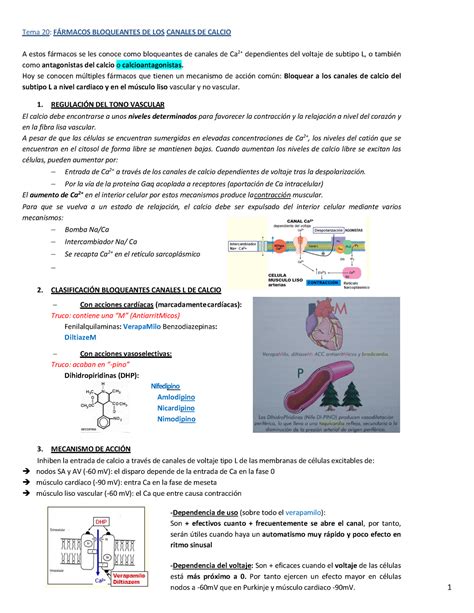 T Bloqueadores Canales De Ca Tema F Rmacos Bloqueantes De
