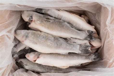 Fotos De Peixe Congelado Imagens De Peixe Congelado Sem Royalties