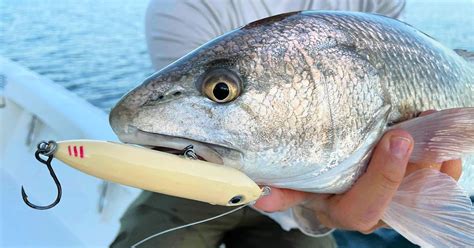 Avoid This Common Mistake And Catch More Fish