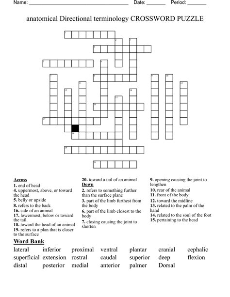 Medical Terminology Chapter 1 Crossword Puzzle Answers Prntbl