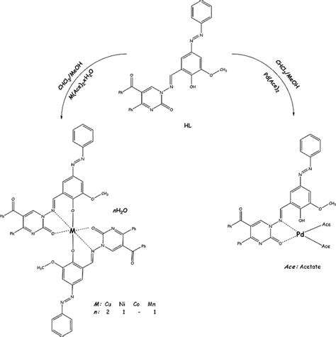 Synthetic Route And Suggested Possible Structures Of The Metal Complexes Download Scientific