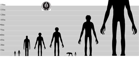 My Art And Ideas — Decided To Make A Quick Height Comparison Chart Of