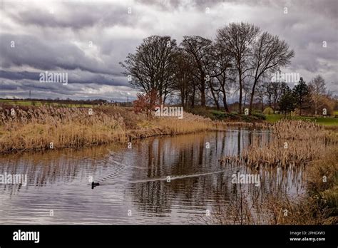 Cusworth hall country park hi-res stock photography and images - Alamy