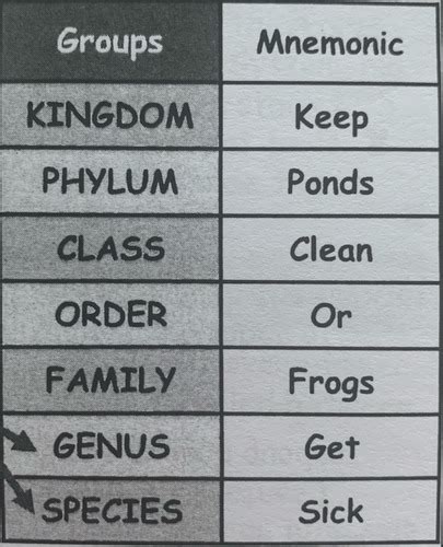 B Genetics And Evolution Flashcards Quizlet