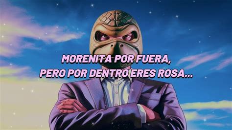 Amo Tu Tota Color Rosa Sr Tortuga Explicit Canción para el Sr