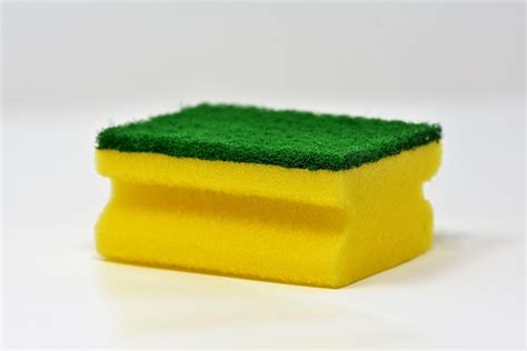 70 000 Free スポンジ状 Sponge Images Pixabay