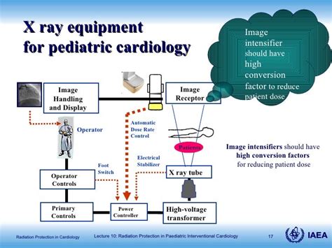 Radiation Protection In Paediatric Interventional Cardiology