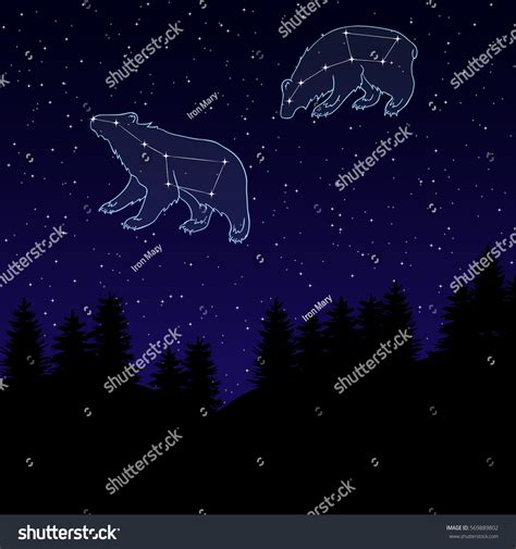 Ursa Major Constellation Bear