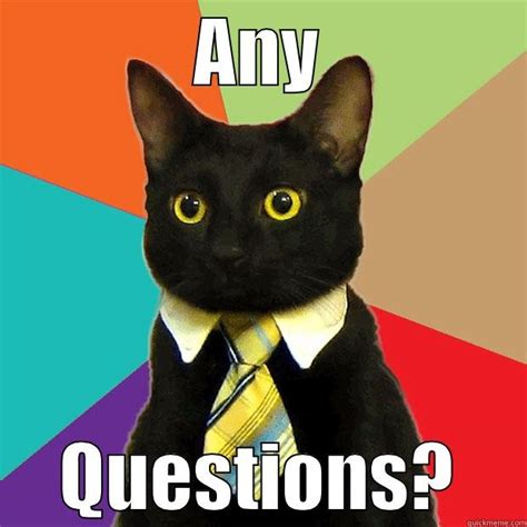 Any Questions Cat Quickmeme