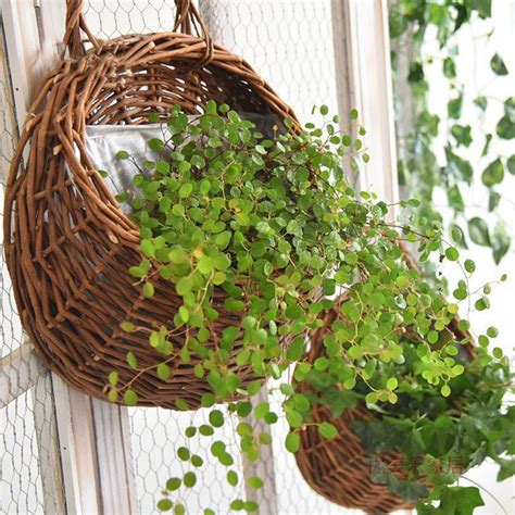 1pack Hanging Wicker Basket for Plant,Decorative Wall Hanging Rattan