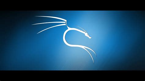 Kali Linux Tutorial Beginner Guide Step To Step Video Youtube