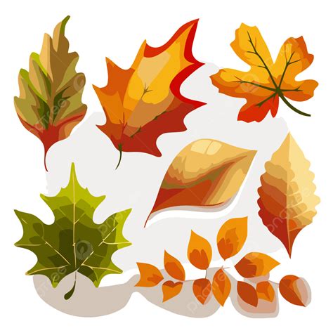 Free Fall Leaf Clip Art