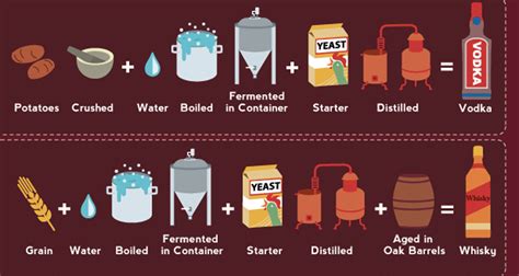 This Infographic Breaks Down How All Your Favorite Alcohol Is Made