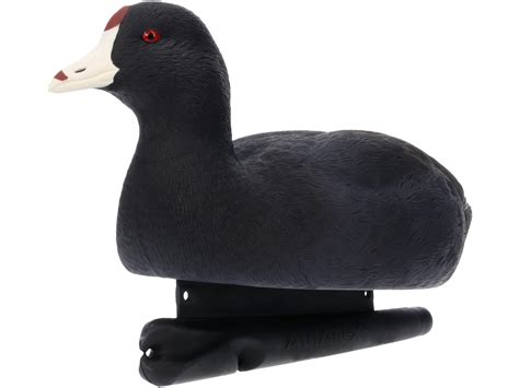 Avian X Topflight Floating Coot Duck Decoy 6PK