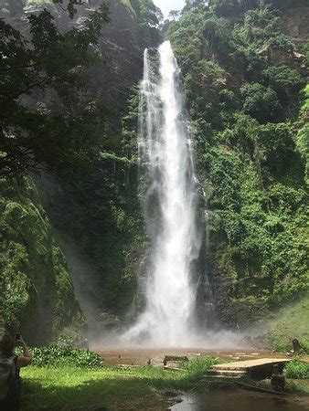 Wli Waterfalls (Hohoe, Ghana): Top Tips Before You Go (with Photos ...