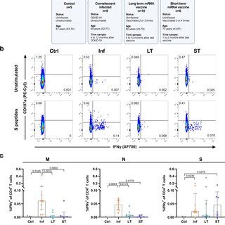 Sars Cov Specific T Cell Responses In Peripheral Blood From