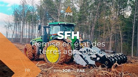 Broyeur De Pierres De Souches Et Broyeur Forestier FAE Au Travail Avec