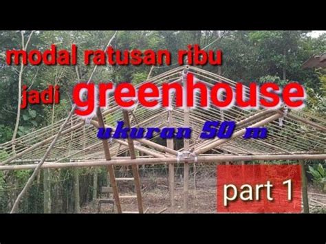 Cara Membuat Greenhouse Sederhana Dari Bambu Youtube