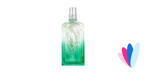 Verveine Fleur De Carotte By L Occitane En Provence Reviews Perfume