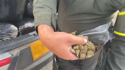 Por Cargar Drogas Fueron Capturadas Varias Personas En Medell N