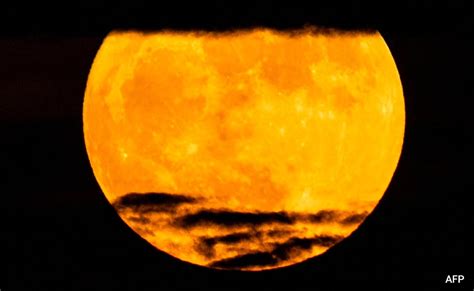 Best Pics Of Rare Super Blue Moon From Around The World The Asian Mirror