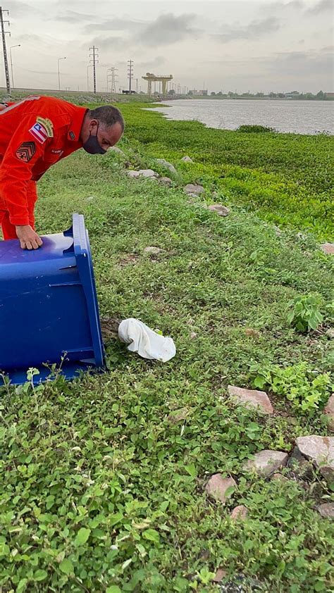 Jacar Cerca De Metro Encontrado Em Quintal Em Paulo Afonso