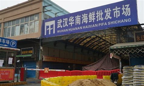 Coronavirus may not have originated at Wuhan's Huanan Seafood Market