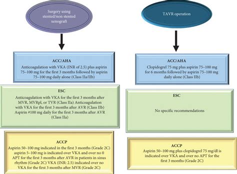 Acc Aha Accp And Esc Recommendations For Antithrombotic Therapy In