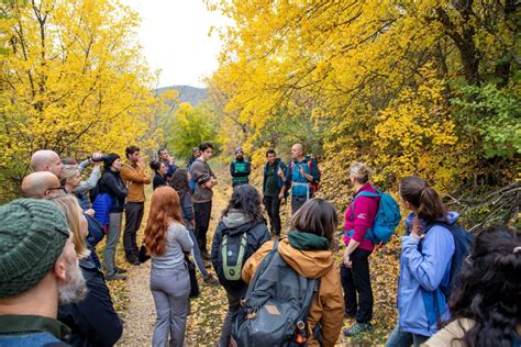 First Hungarian Initiative Joins The European Rewilding Network