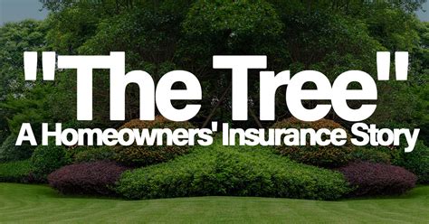 Homeowners Insurance And The Tree” Ica Agency Alliance Inc