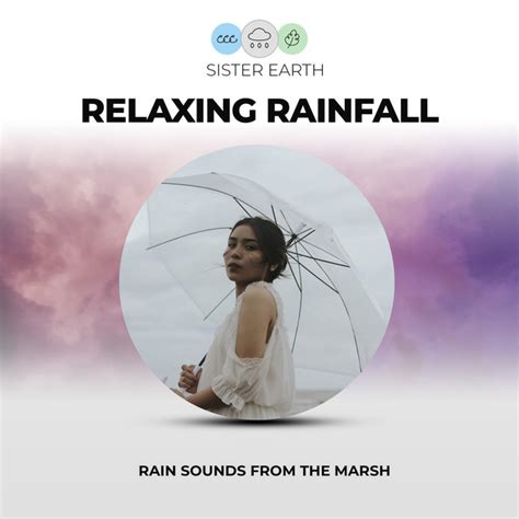 Relaxing Rainfall Rain Sounds From The Marsh Album By Rain Sounds