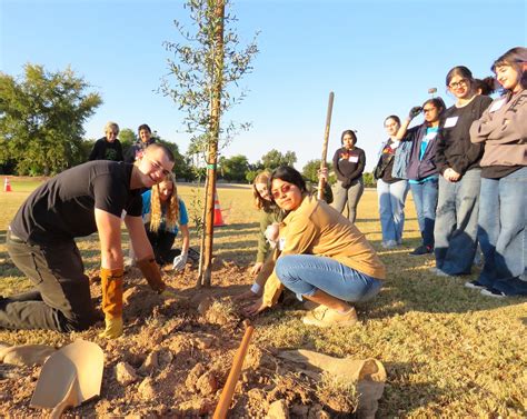mesa kicks   tree planting season
