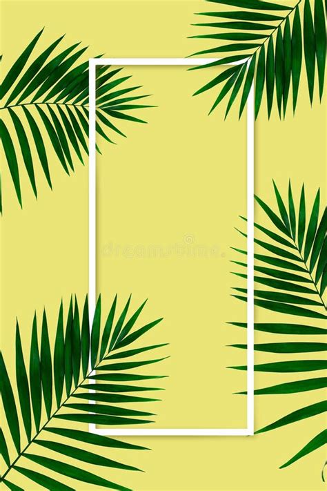 Exotic Green Tropical Palm Leaves Isolated On Yellow Background With