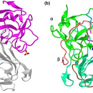 structures  unprocessed p pand  processed   pand forms
