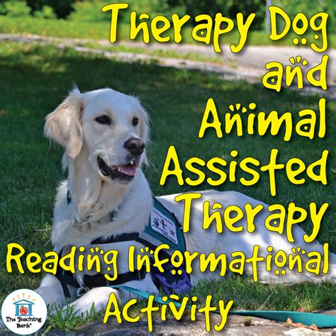 The Heroism of Therapy Animals | The Teaching Bank