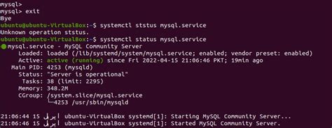 C Mo Instalar Y Usar Mysql Workbench En Ubuntu Territorio M Vil