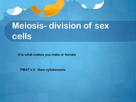 Cell Theory And Cell Division Ppt Download