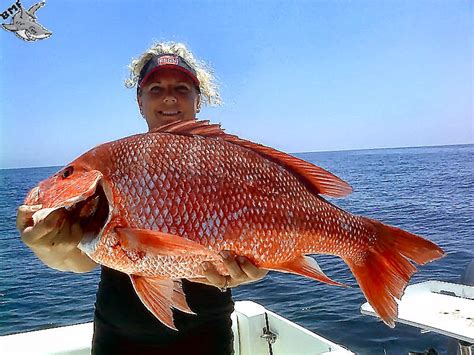 Fishing Charters Bahamas - The Best Way to Go