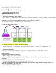 Study Guide For Lab Pract Docx Study Guide For Lab Practical Exam