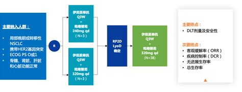 2023 ASCO 伊尼妥单抗联合TKI治疗HER2突变晚期NSCLC患者Ib期研究公布DCR疾病控制率达85 4 医药新闻