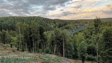 Der Rheinland Pfalz Ticker Welche Themen Am Freitag Wichtig Sind