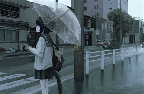 Wallpaper Rain Umbrella Japan Traffic Crossing Cat Girl