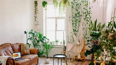 Décor Give your home a botanical makeover Hindustan Times