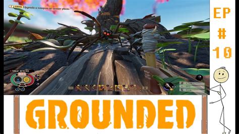 Plank Wolf Spiders And The Hedge In Grounded Youtube