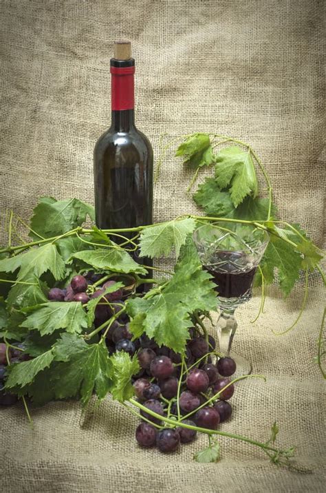 Sweet Red Grapes with Bottle of Red Wine. Stock Photo - Image of leaf ...